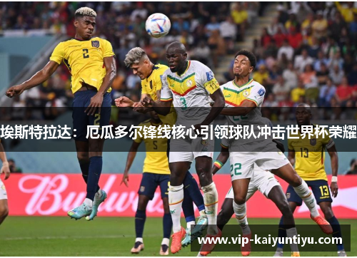 埃斯特拉达:厄瓜多尔锋线核心引领球队冲击世界杯荣耀 埃斯特拉达:厄瓜多尔锋线核心引领球队冲击世界杯荣耀