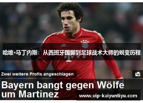 哈维·马丁内斯：从西班牙国脚到足球战术大师的蜕变历程