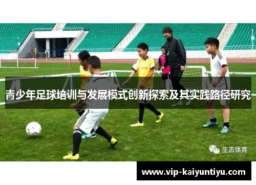 青少年足球培训与发展模式创新探索及其实践路径研究