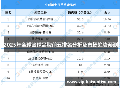 2025年全球篮球品牌前五排名分析及市场趋势预测