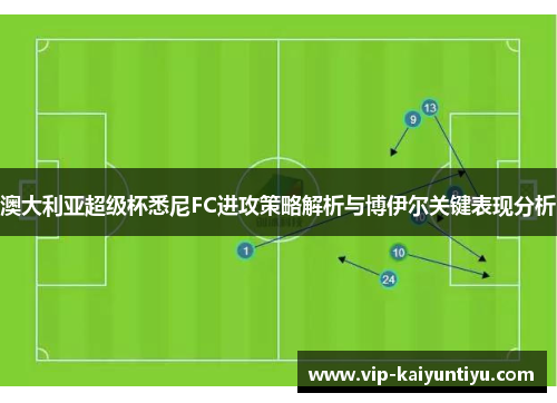 澳大利亚超级杯悉尼FC进攻策略解析与博伊尔关键表现分析