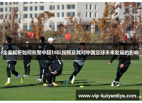全面解析如何恢复中超16队规模及其对中国足球未来发展的影响 全面解析如何恢复中超16队规模及其对中国足球未来发展的影响