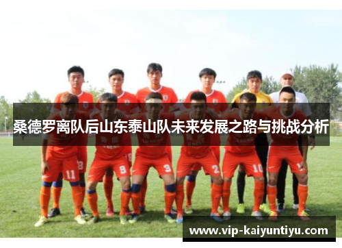 桑德罗离队后山东泰山队未来发展之路与挑战分析