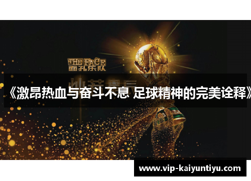 《激昂热血与奋斗不息 足球精神的完美诠释》 《激昂热血与奋斗不息 足球精神的完美诠释》