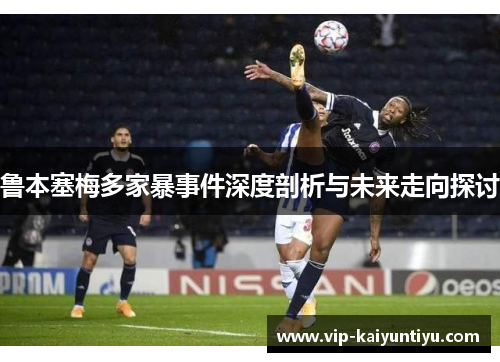 鲁本塞梅多家暴事件深度剖析与未来走向探讨