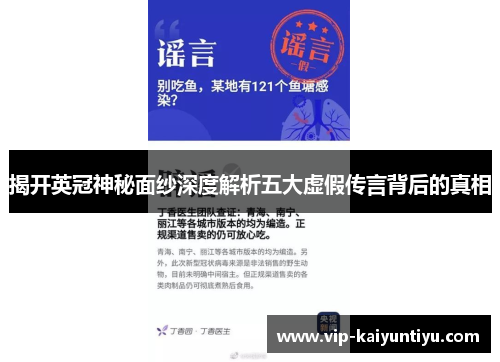 揭开英冠神秘面纱深度解析五大虚假传言背后的真相